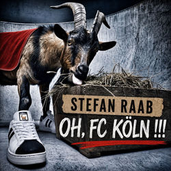 OH, FC KÖLN!!!