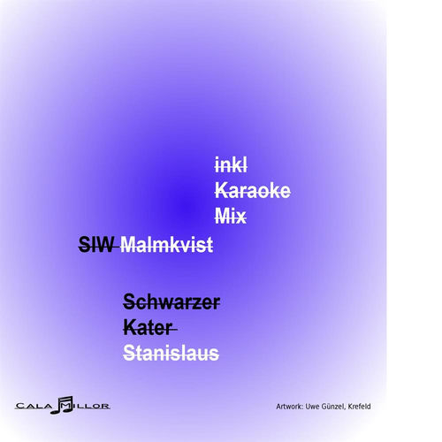 Schwarzer Kater Stanislaus