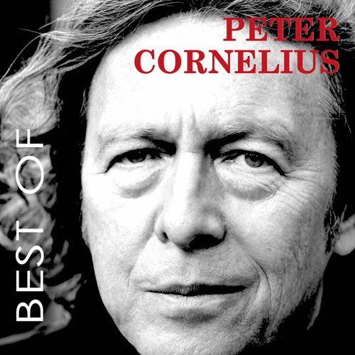 Best Of - 36 Grosse Songs