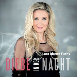 Diebe in der Nacht