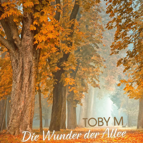 Die Wunder der Allee