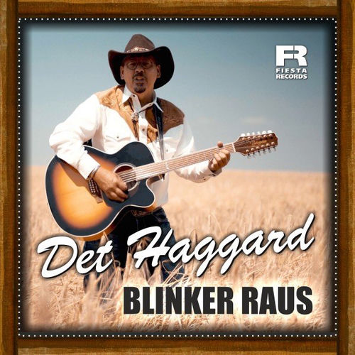 Blinker raus