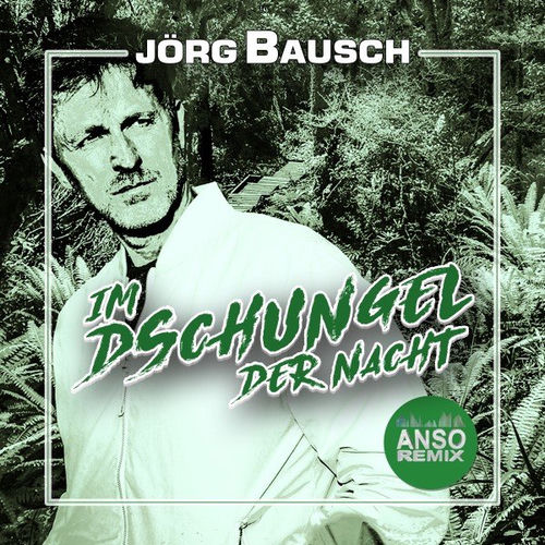 Im Dschungel der Nacht (Anso Remix)