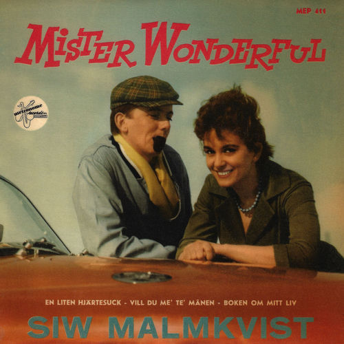 Mister Wonderful