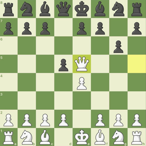 i play chess