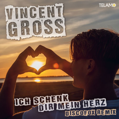Ich schenk Dir mein Herz (Discofox Remix)