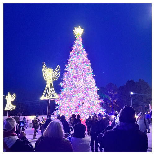 OUR CHRISTMAS TRADITIONS