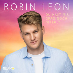 Du hast mir grad noch gefehlt