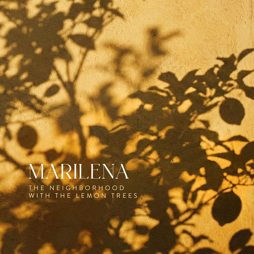The Neighborhood With The Lemon Trees