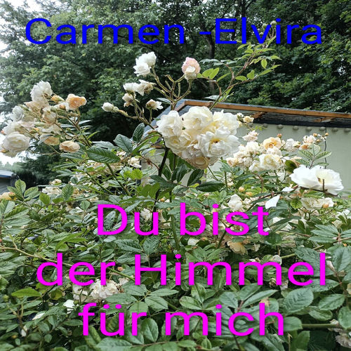 Du Bist Der Himmel Für Mich