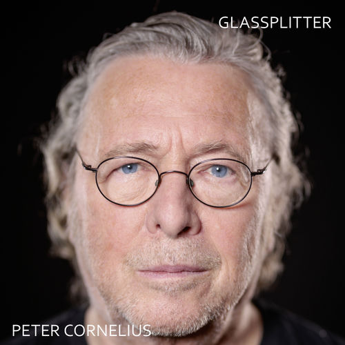 Glassplitter