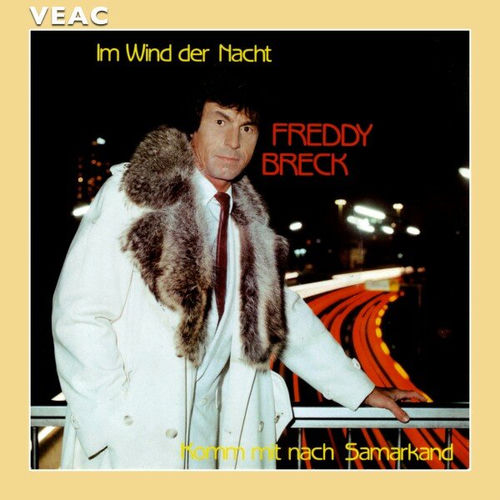 Im Wind der Nacht