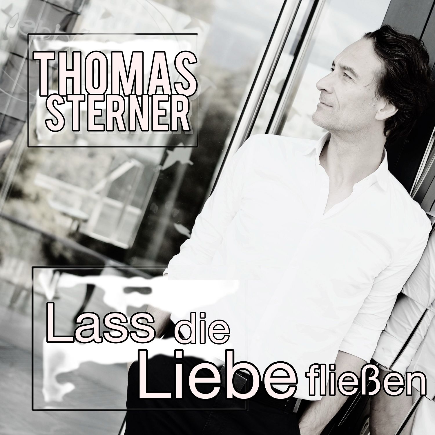 THOMAS STERNER  - Lass die Liebe fließen