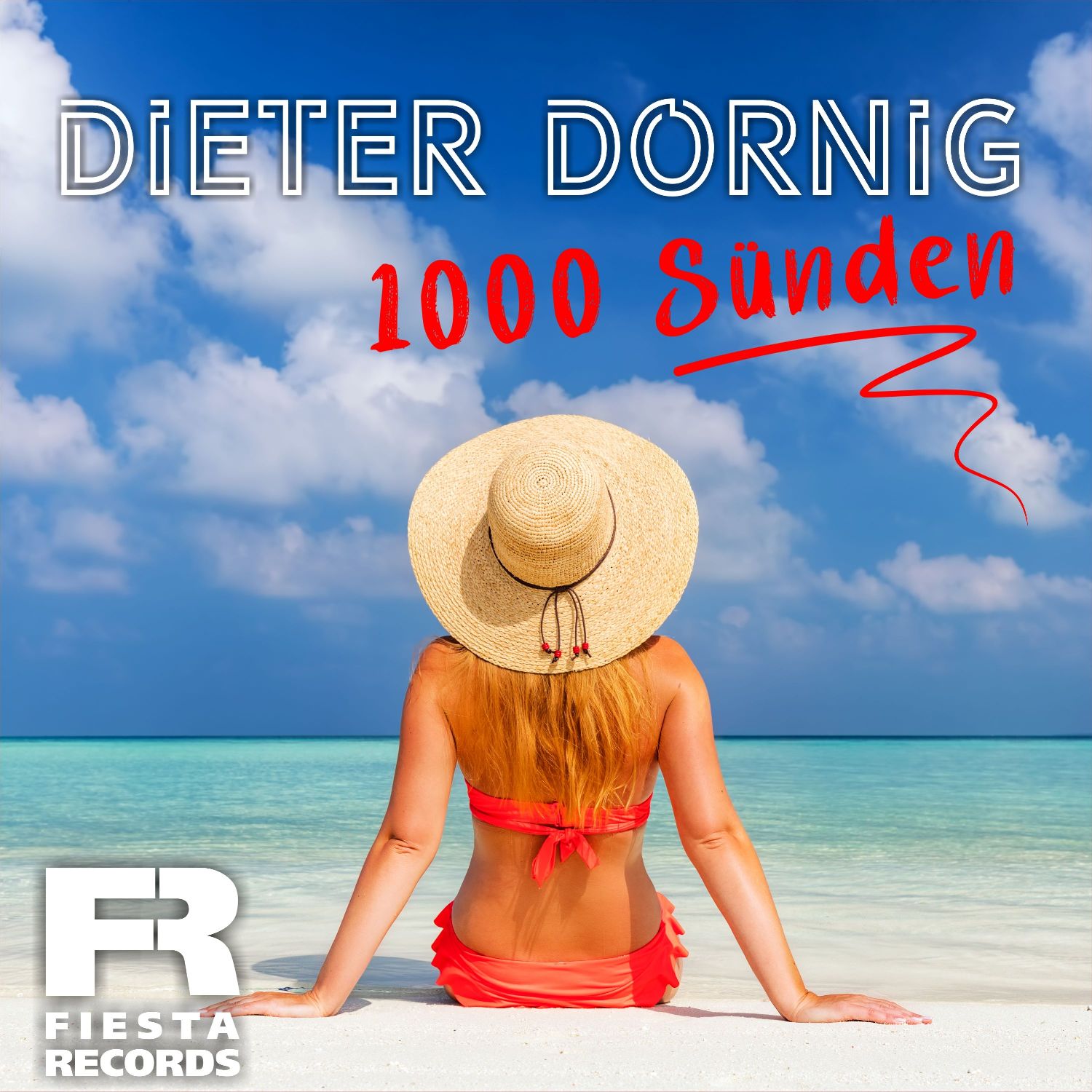Dieter Dornig - 1000 Sünden