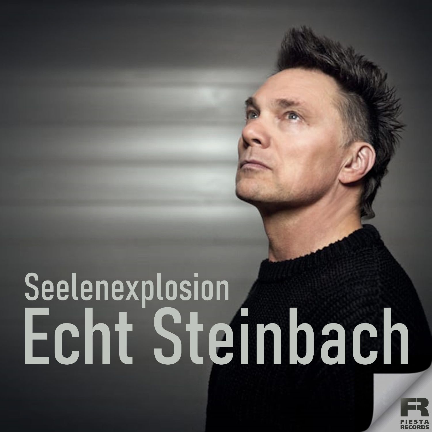 Echt Steinbach - Seelenexplosion
