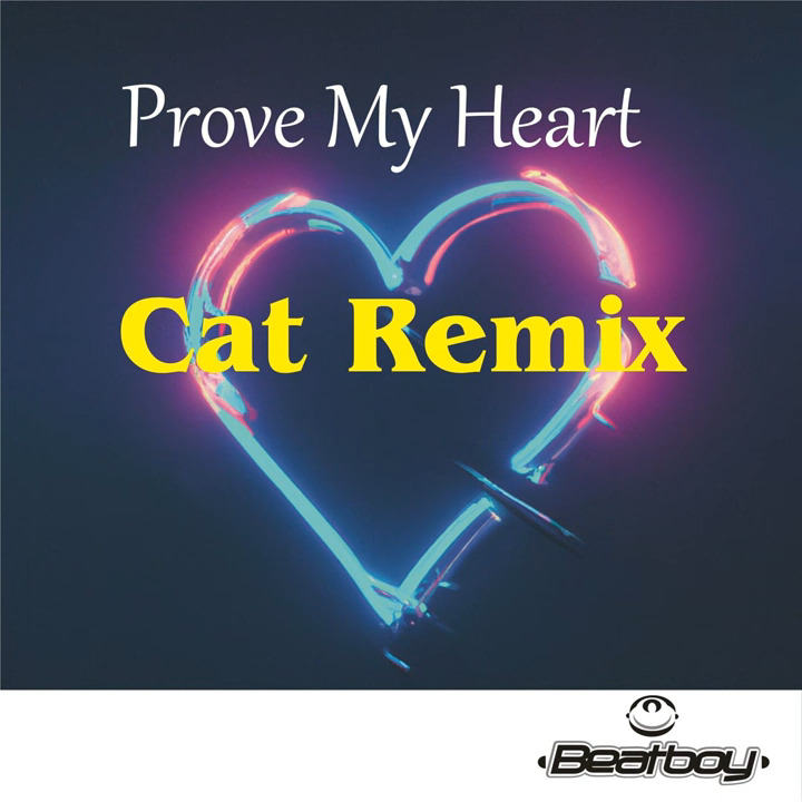 DJ Beatboy - Prove My Heart (Cat Remix)