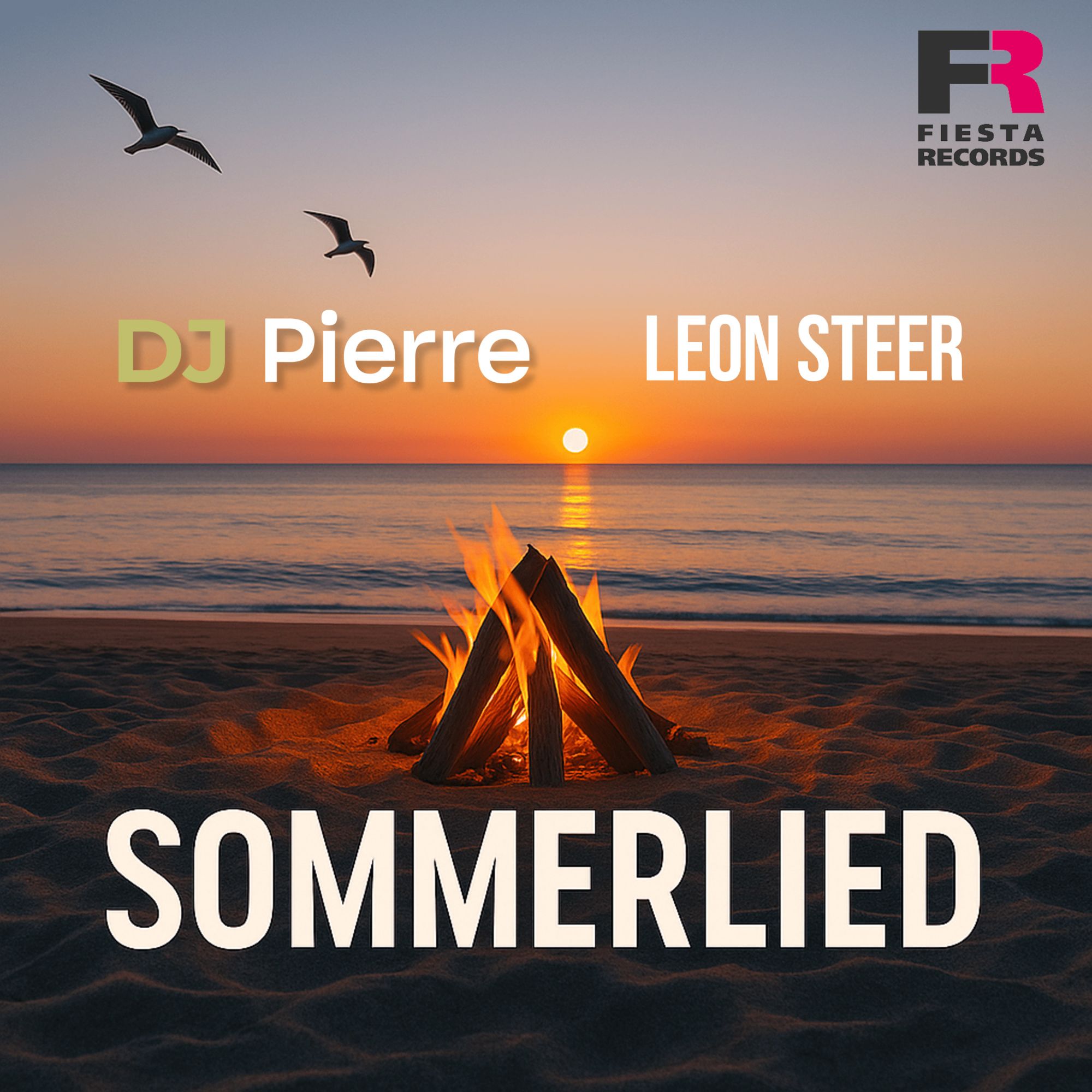 DJ Pierre X Leon Steer - Sommerlied