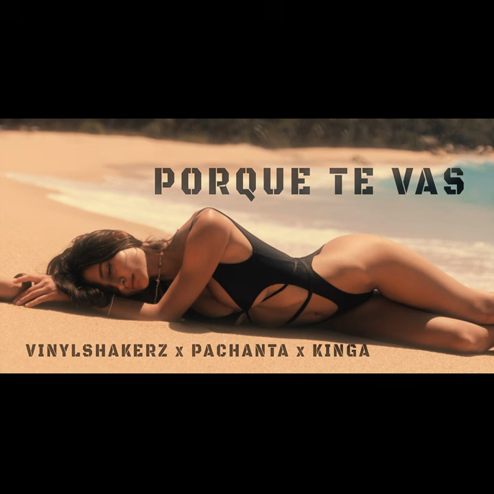 Vinylshakerz & Pachanta - Porque Te Vas (feat. KINGA) (AFRO House Mix)