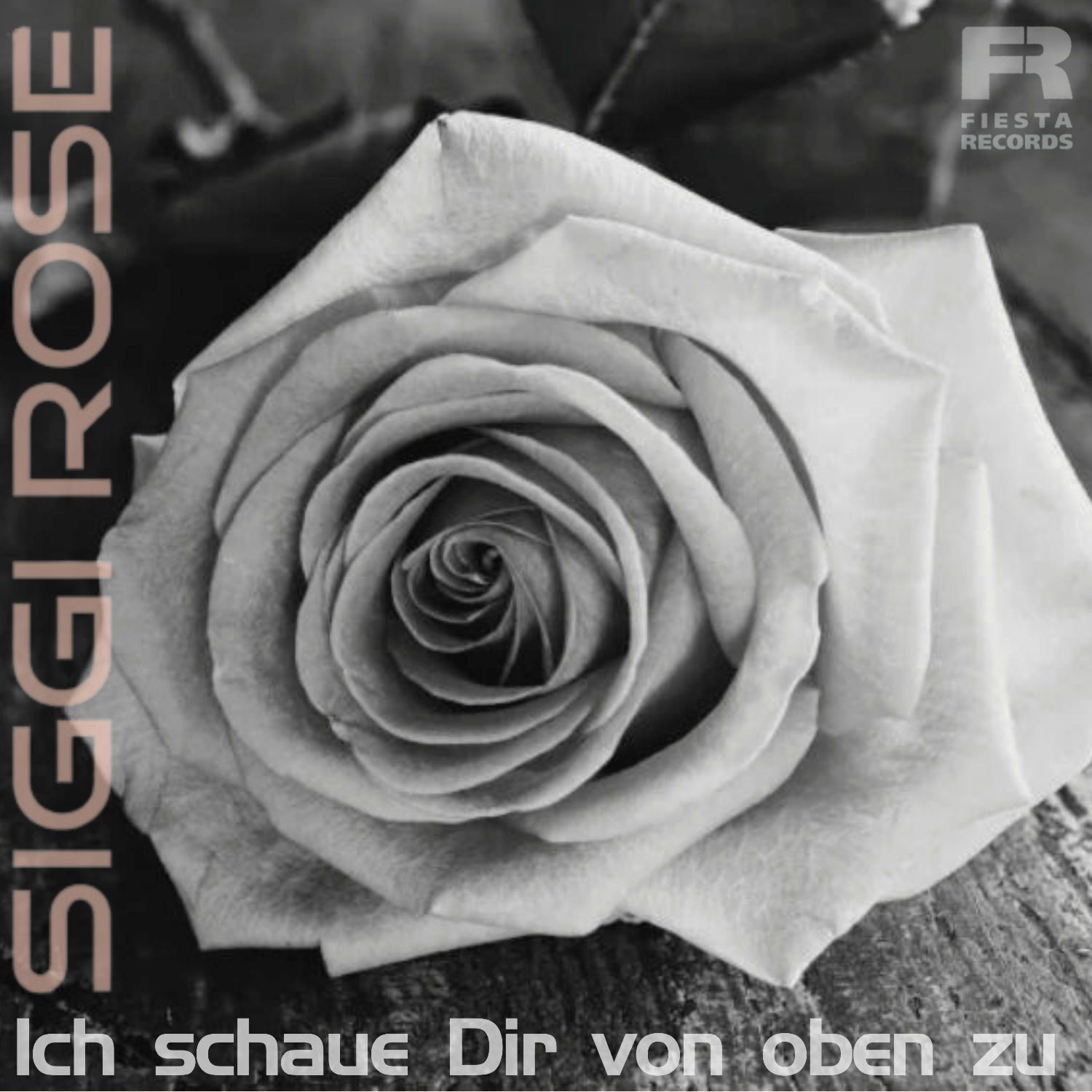 Siggi Rose - Ich schaue dir von oben zu