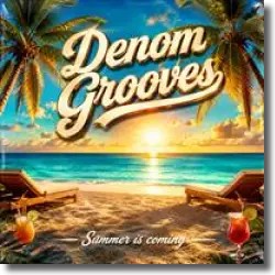 Denom Grooves - Summer is coming