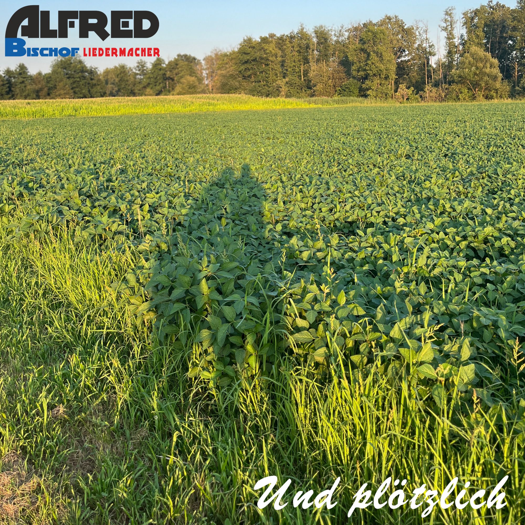 Alfred Bischof - Und plötzlich