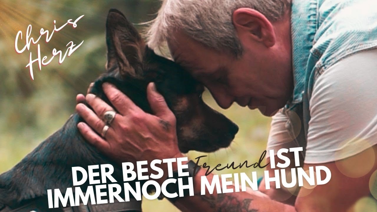 Youtube Vorschau - Video ID omrHnobHqJc