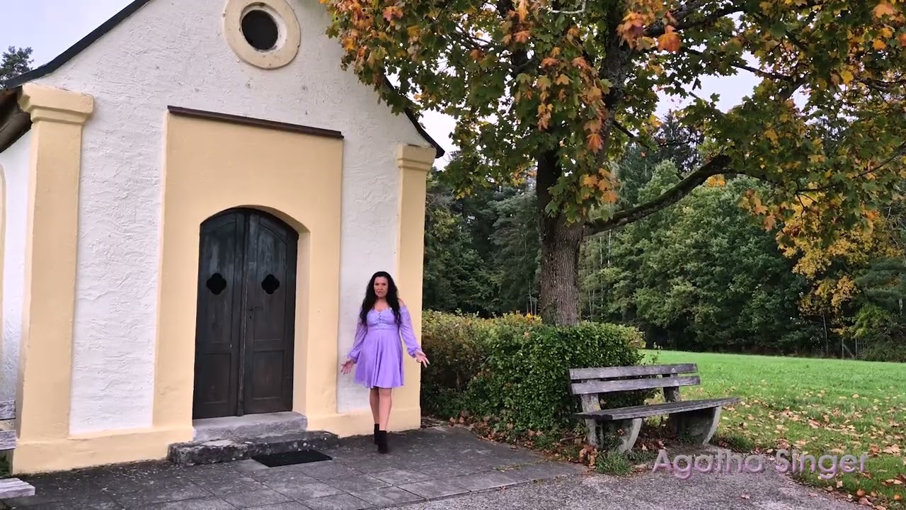 Youtube Vorschau - Video ID u4B5f8pBT0Y