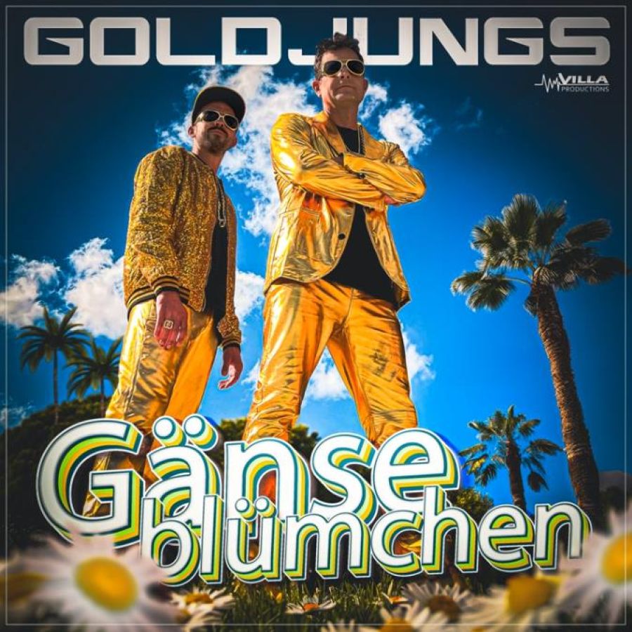 Goldjungs - Gänseblümchen