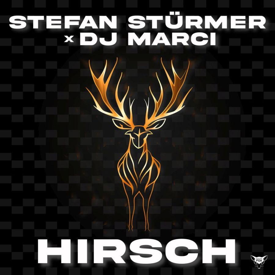 Stefan Stürmer & DJ Marci - Hirsch