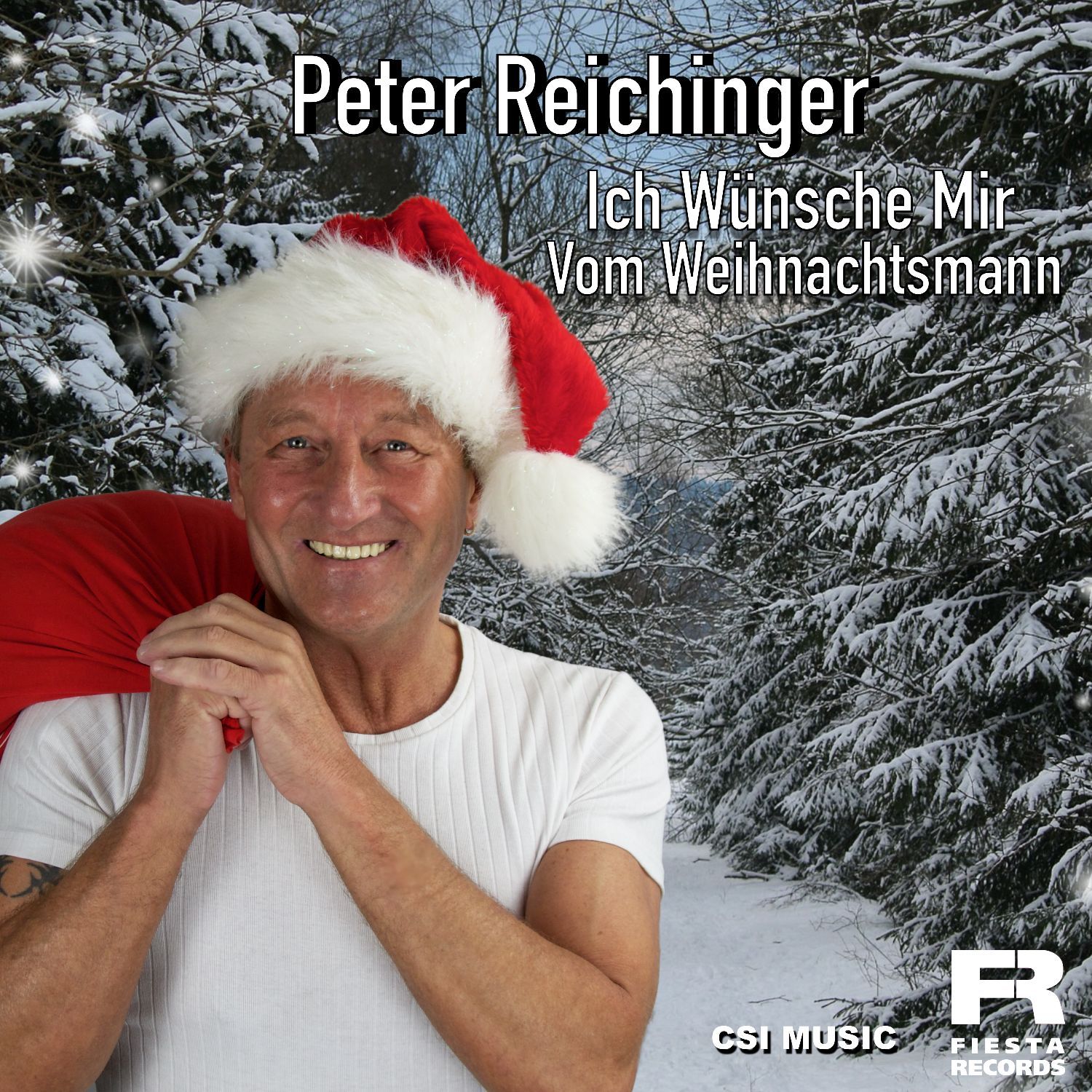 Peter Reichinger - Ich wünsche mir vom Weihanchtsmann